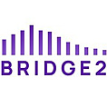 Bridge 2